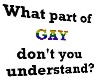 What part of GAY
