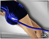 SR-Blu tail