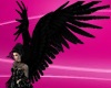 Black wings Animate
