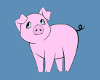 Pink Piggy Sticker