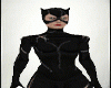 Catwoman  Outfit v6