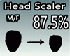 NSP HEAD SCALER 87.5%