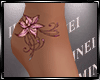 Feet Petra