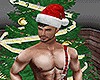 Sexy santa Claus hat