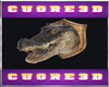 Animal Head Wall5