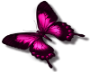 {L} pink butterfly med