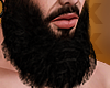 $Daddy Warbuck Beard