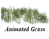 Animated Moving Grass