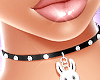 Black Bunny