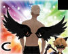 (C) Black Wings V1
