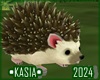 🦔 Hedgehog