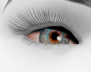 blue grey eyes