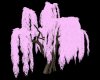 Pink willow tree w/poses