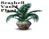 Seashell Vased Plant