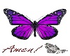 Fantastic Butterfly Tee