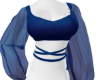 CHERIE'S  BLUE  TOP