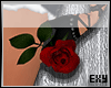 [X] Long Rose