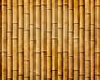 Animated Bamboo Curtain