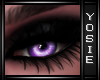 ~Y~Purple Eyes
