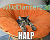 ~WD~ Dissapearing Cat