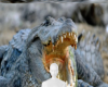 Alligator background