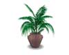 POTTED PLANT 14