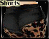~ Shorts + Lace Stocking