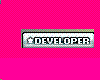 developer sticker