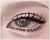 âPodium Lash