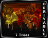7 Fall/Autumn Trees