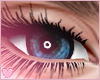 Halo - Denim Eyes