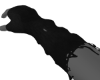 1.3