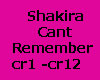 Shakira Cant Remember JB