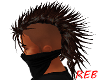 Brown Mohawk 