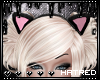 |H Pink Kitty Ears