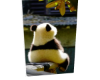 Panda 9