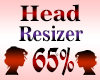 Head Scaler Resizer 65%