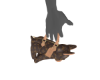 FOFO