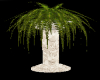 Column Plant