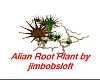 Alian Root Plant
