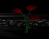 Red Rose V