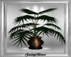 RB Large Potted Palm