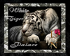 White Tiger Palace