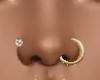 Diamond/ Gold Piercings