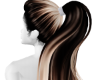 Brown Ombre Ponytail