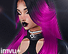 🖤 Petra Purple