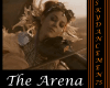 ♪The Arena♪