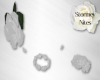 Mila 5Pc White Rose Set