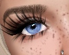 Nordic Eyes