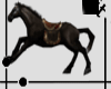 {FeR}Black Horse